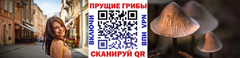 где продают   Рыбинск  Галлюциногенные грибы прущие грибы 