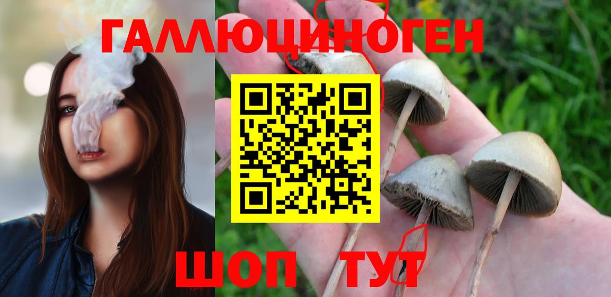 Рыбинск  Галлюциногенные грибы мухоморы  где можно купить   Вход с VPN  Галлюциногенные грибы Cubensis 