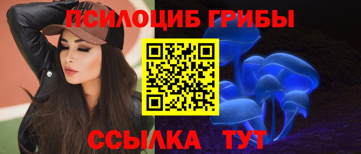 Псилоцибиновые грибы прущие грибы Рыбинск